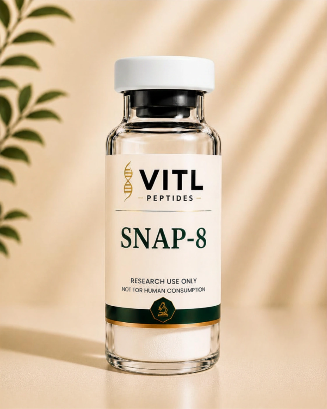 Snap-8